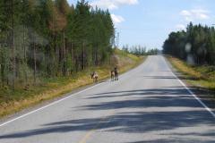 866 bei Kuusamo (FIN)