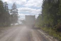 Wohnmobil on the road