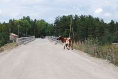 bei Lendery