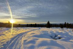 Morgensonne