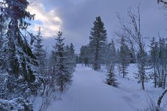 Langlauf in Skirvedalen