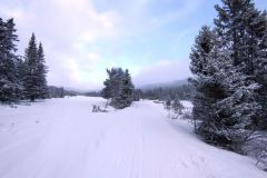 Skirvedalen