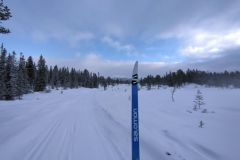 Skirvedalen