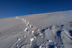 Schneeschuhe-Spuren im Neuschnee