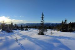 unberührtes Winter-Wonder-Land